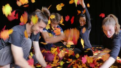 Feuilles