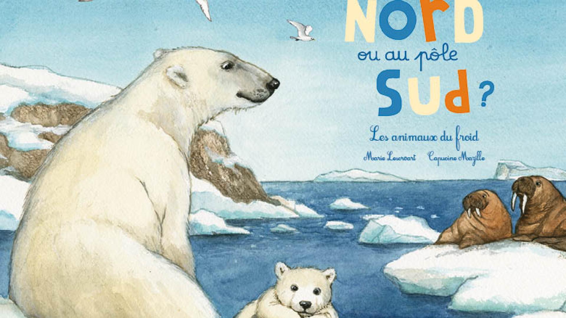 Couverture "Au pôle Nord ou au pôle Sud ?"-Editions du Ricochet