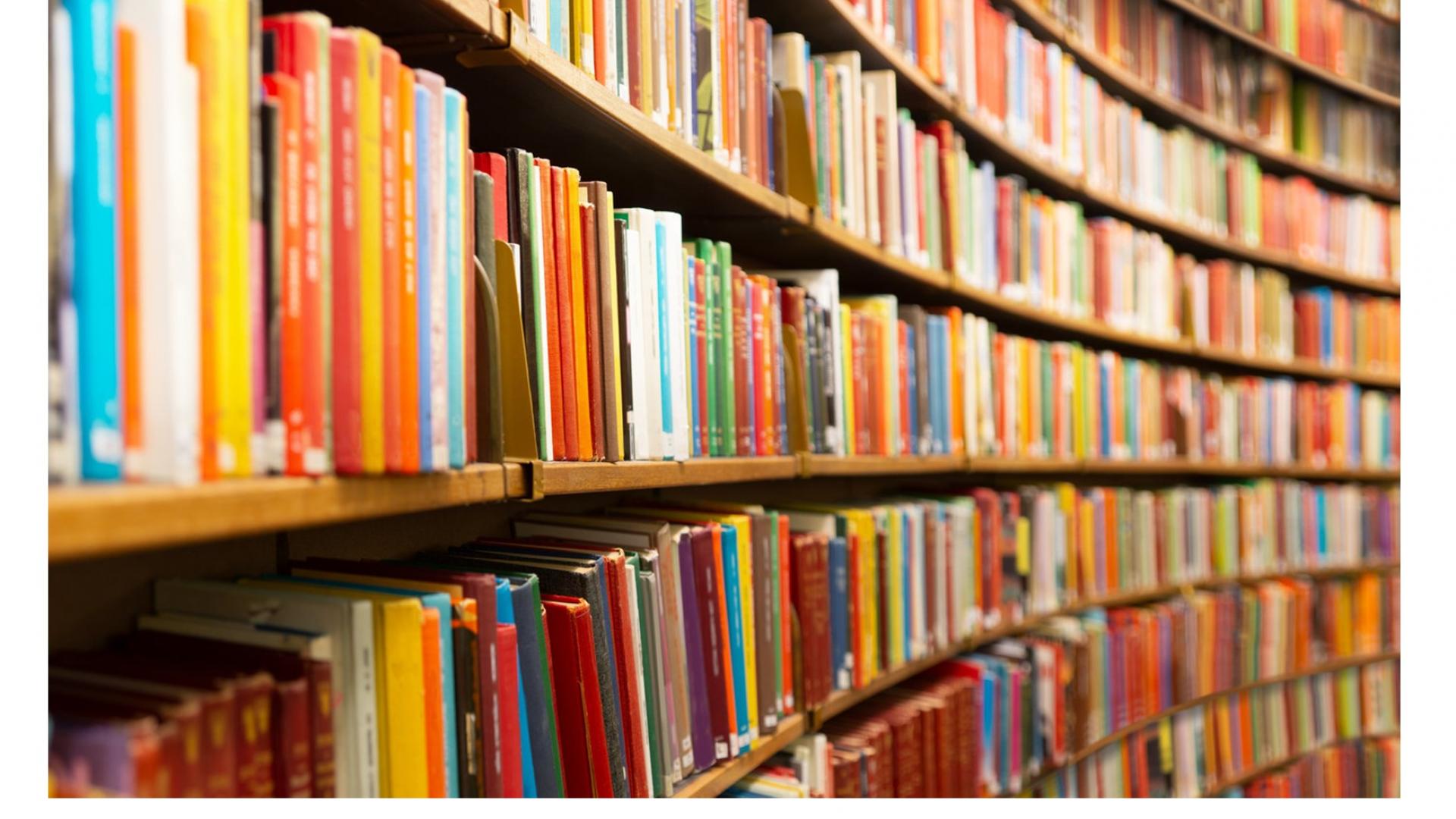 Mini chasse aux livres cycle 2